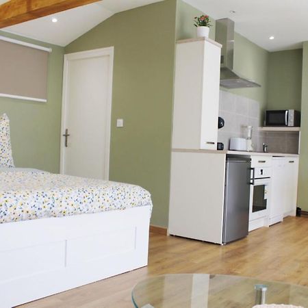 Saint Etienne : Appartement Chateaucreux 40 M2 Exterior foto