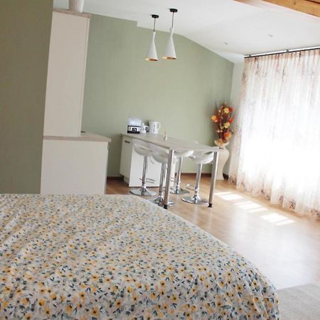 Saint Etienne : Appartement Chateaucreux 40 M2 Exterior foto