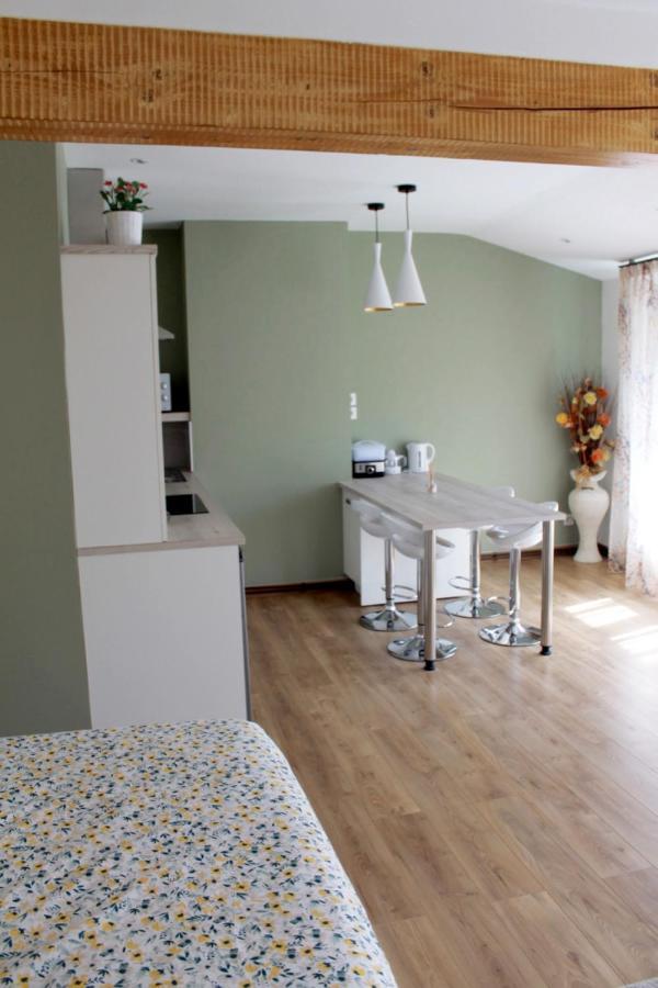 Saint Etienne : Appartement Chateaucreux 40 M2 Exterior foto