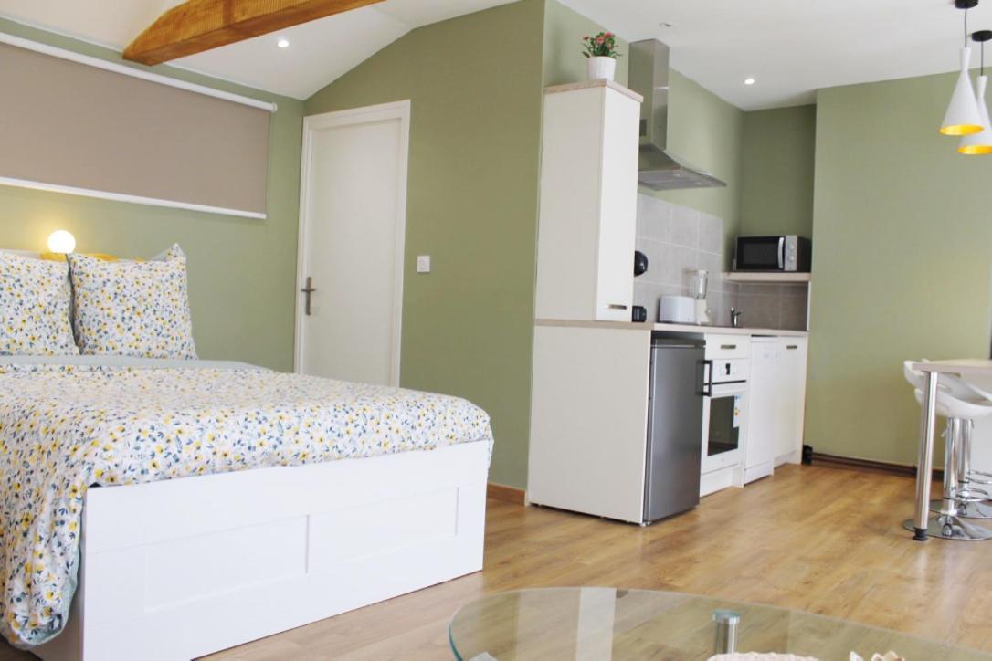 Saint Etienne : Appartement Chateaucreux 40 M2 Exterior foto