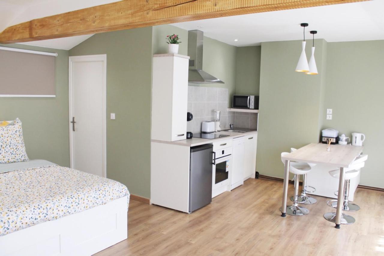 Saint Etienne : Appartement Chateaucreux 40 M2 Exterior foto