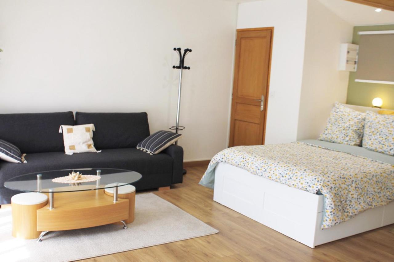 Saint Etienne : Appartement Chateaucreux 40 M2 Exterior foto