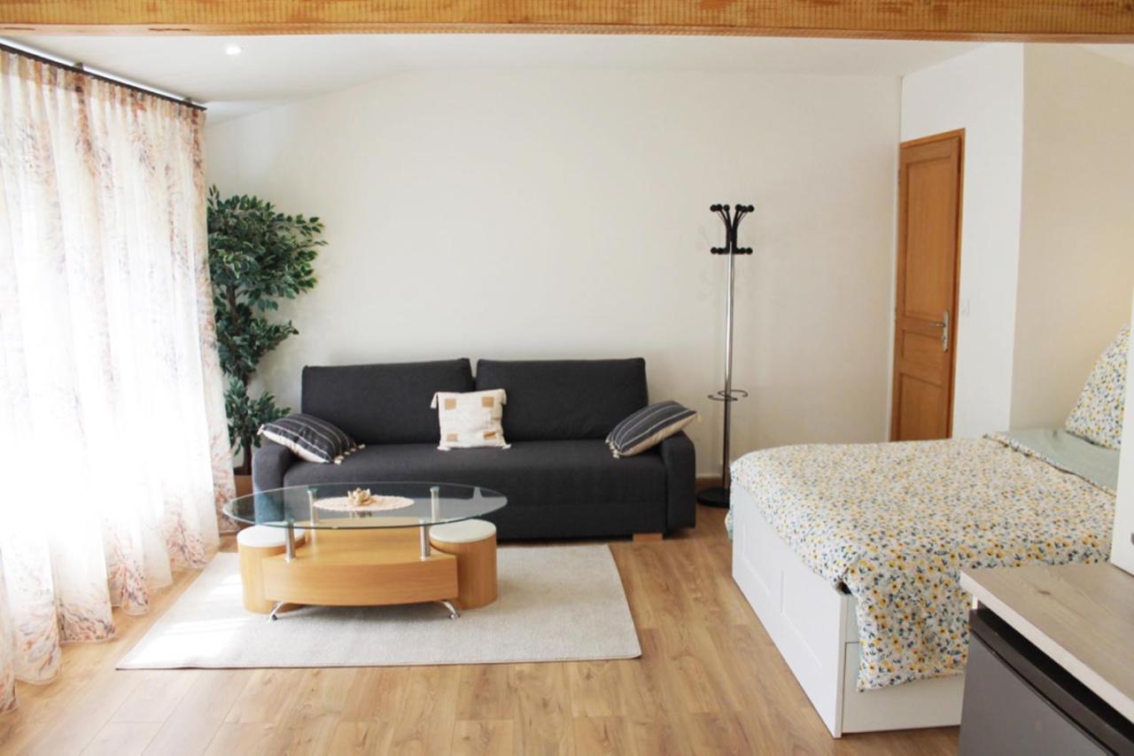 Saint Etienne : Appartement Chateaucreux 40 M2 Exterior foto