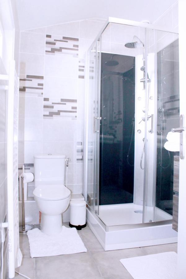 Saint Etienne : Appartement Chateaucreux 40 M2 Exterior foto